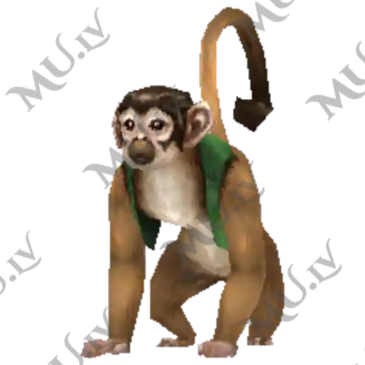 Green Monkey